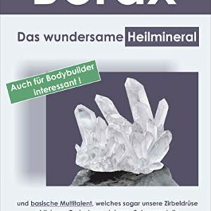 Buch: Borax - Das wundersame Heilmineral