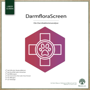 Darmflora-Screen