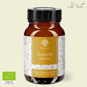 Kraftpilz Hericium - Vitalpilzpulver - 100g
