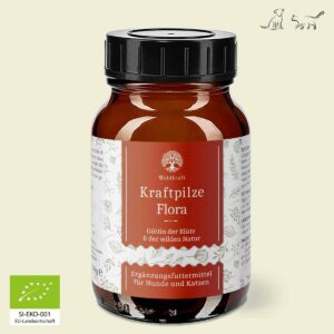 Kraftpilze Flora - Vitalpilz Synergetikum - 100g